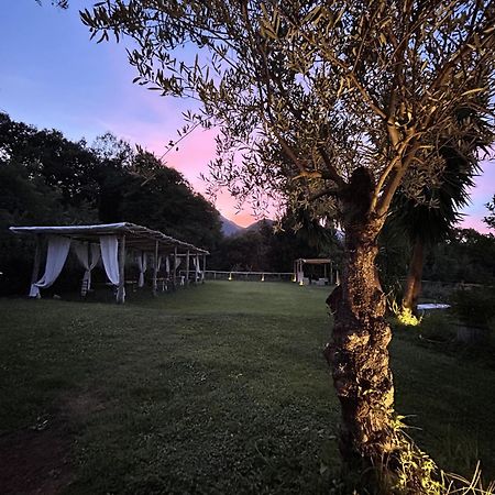 Agriturismo Colle Maiano วิเอตริ ภายนอก รูปภาพ