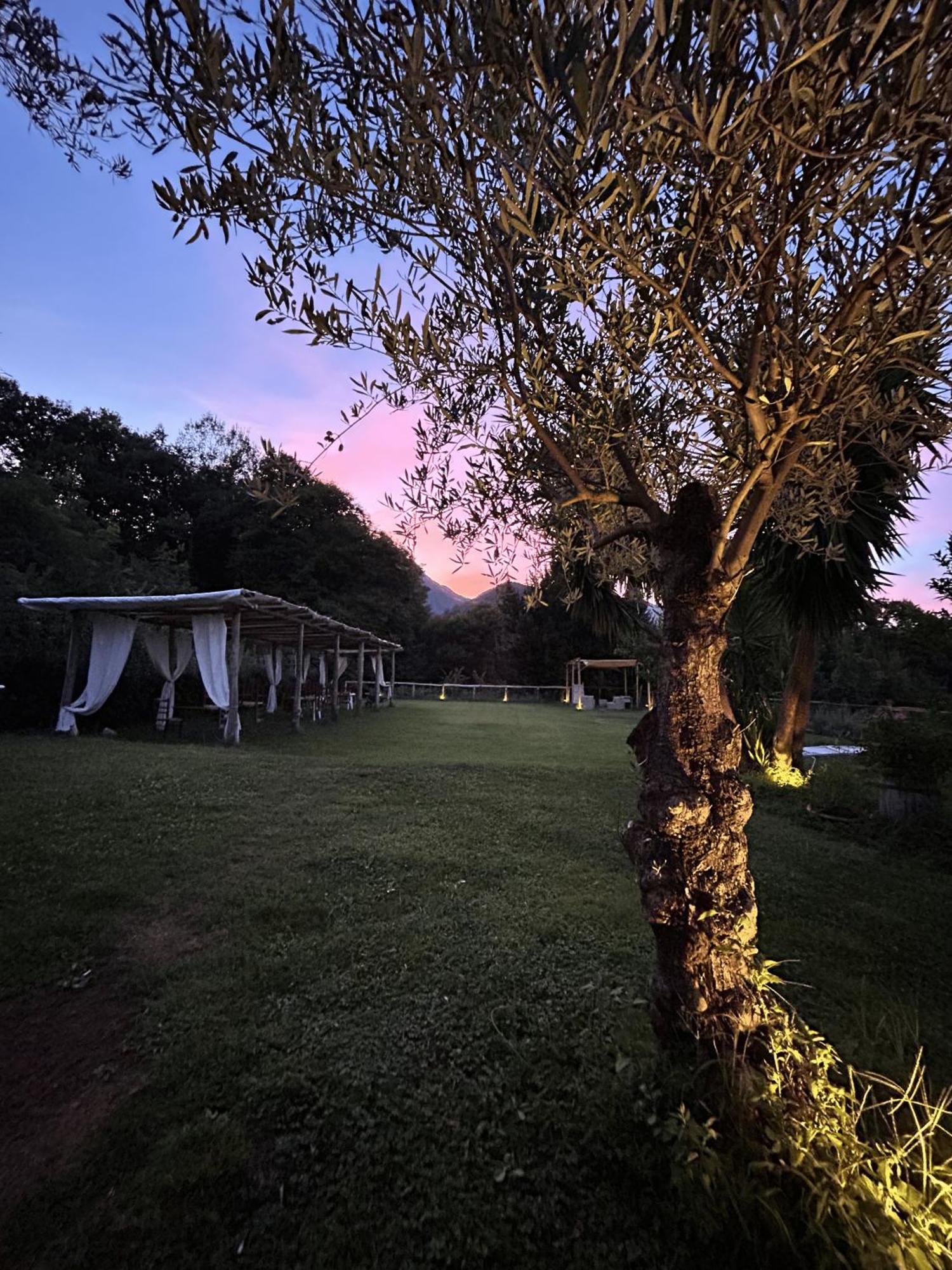 Agriturismo Colle Maiano วิเอตริ ภายนอก รูปภาพ